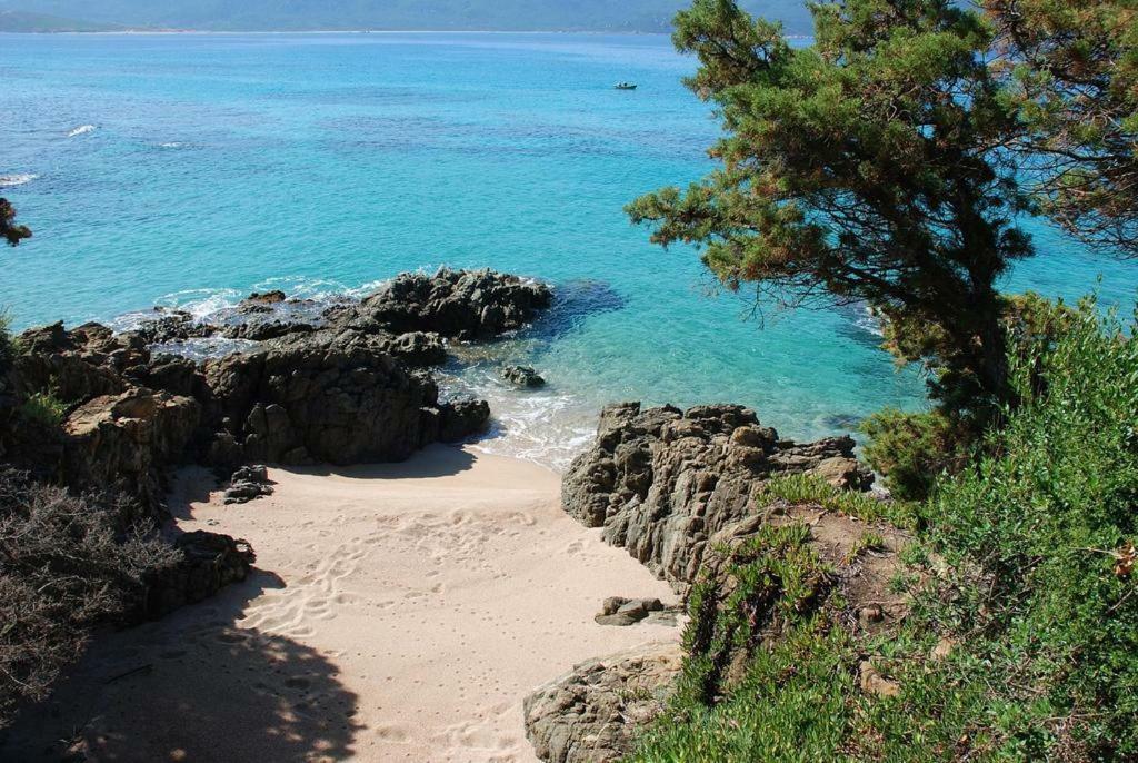 Duplex En Plein Centre Διαμέρισμα Propriano  Εξωτερικό φωτογραφία